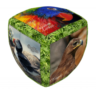 V-Cube 2x2 speedcube Birds