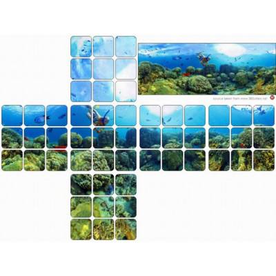 Coral reef panorama sticker